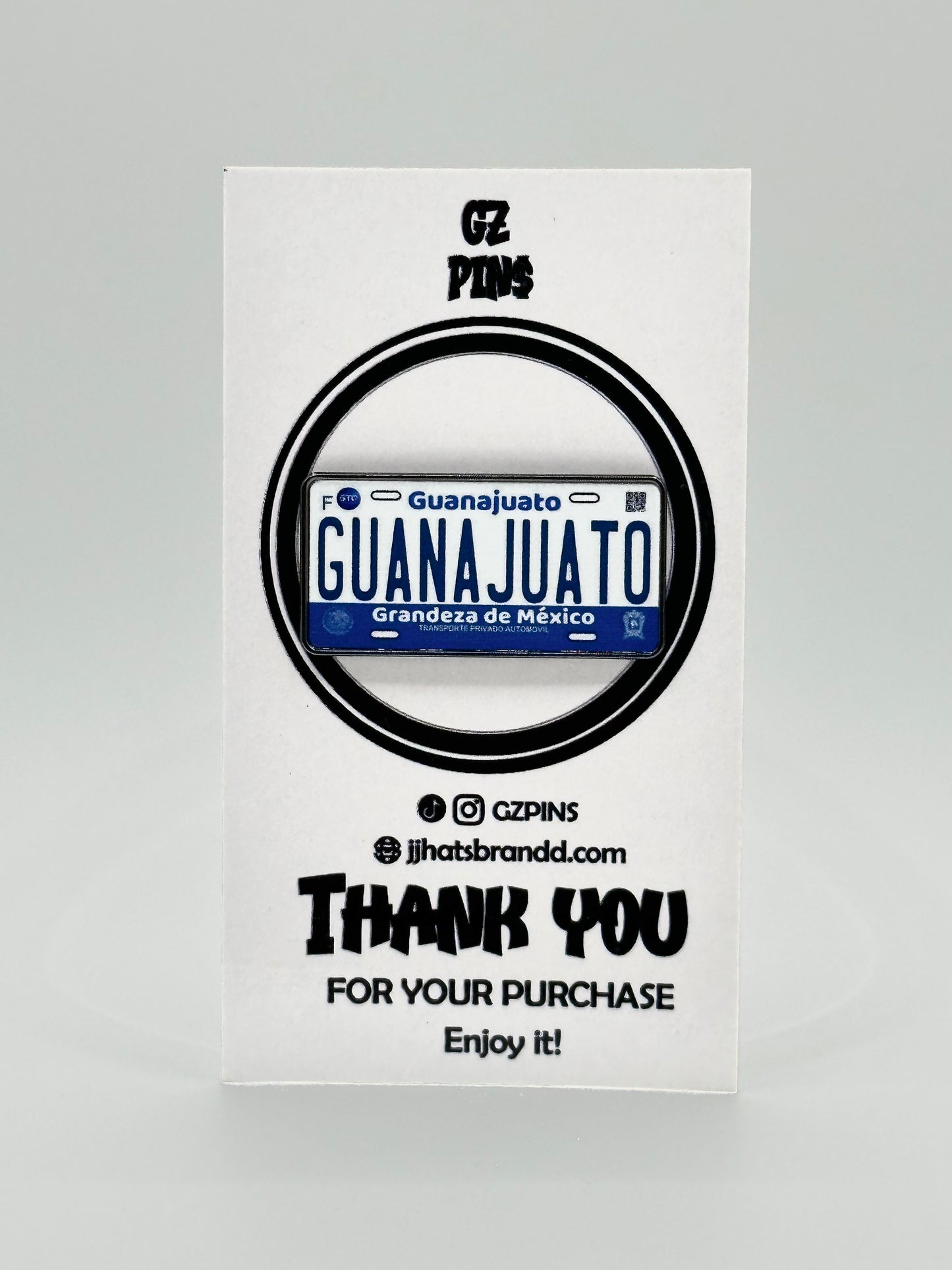 Placas Guanajuato pin