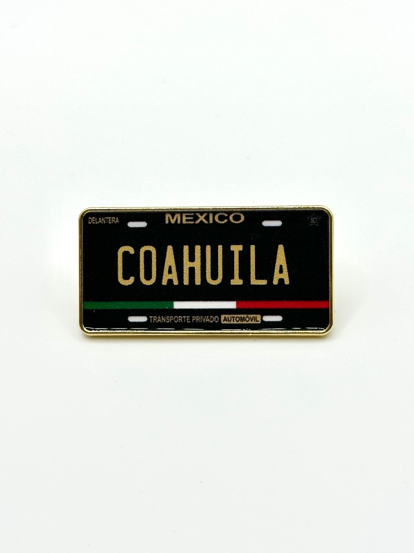 Placas de Coahuila Pin