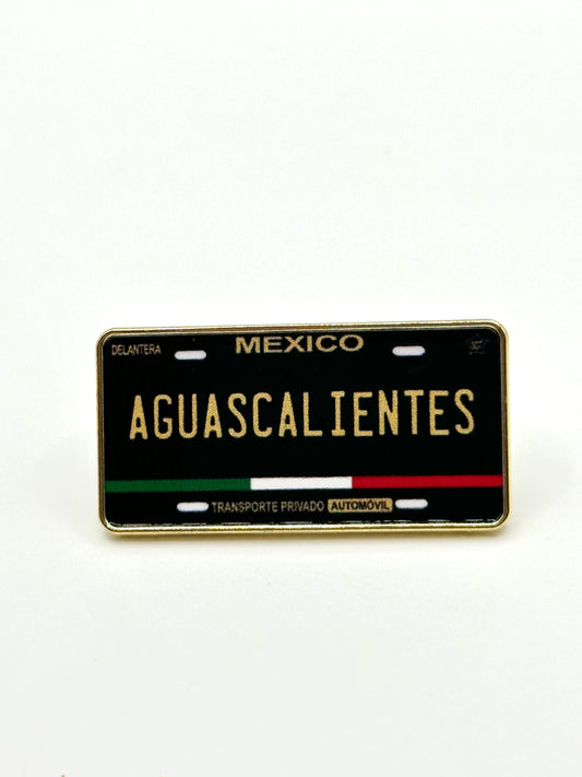 Placas De Aguascalientes Pin